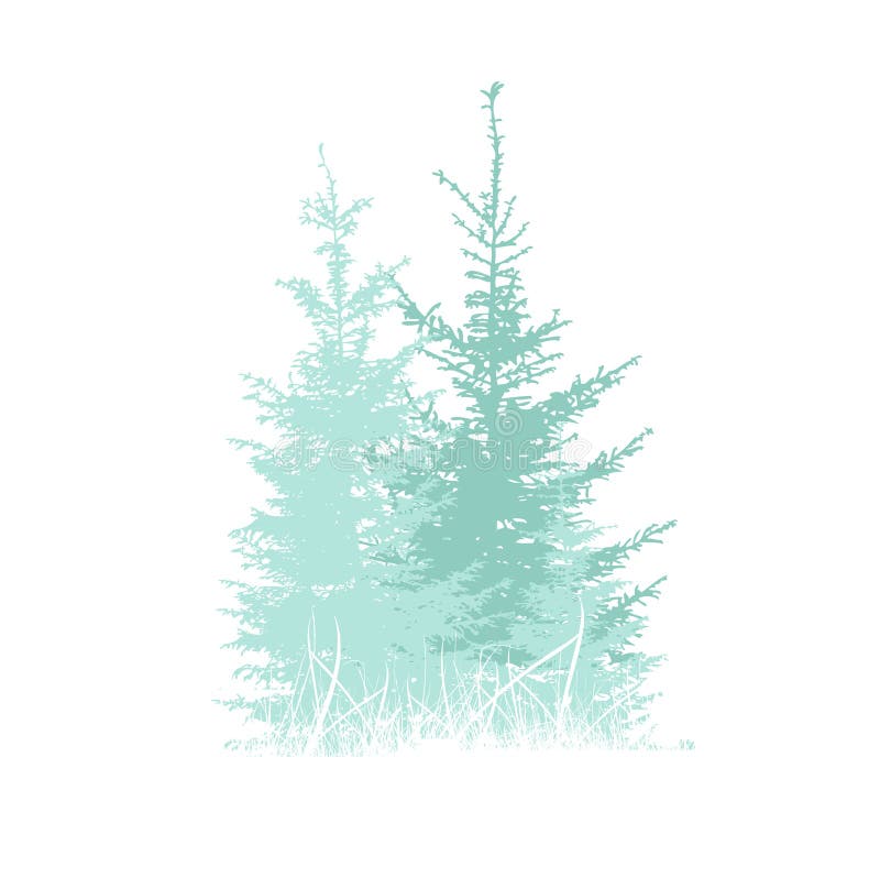 Light blue firs. Vector illustration royalty free illustration
