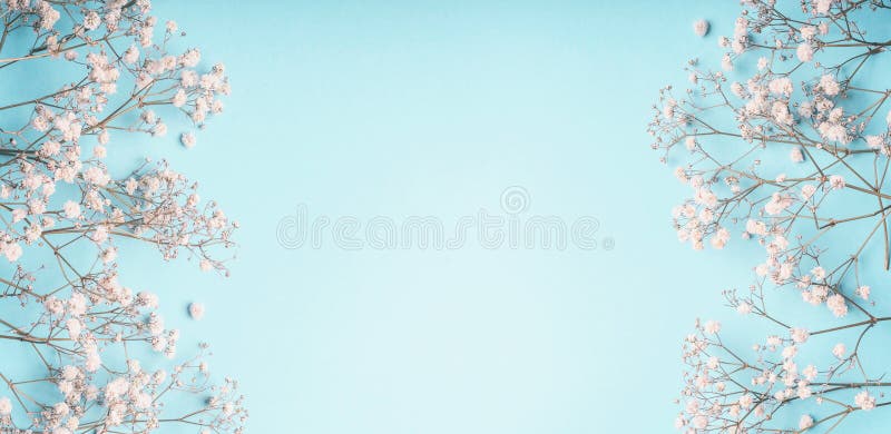 Light Blue Floral Background Frame with White Gypsophila Flowers.  Baby`s-breath Flowers on Pastel Stock Image - Image of flower, blossom:  127514091