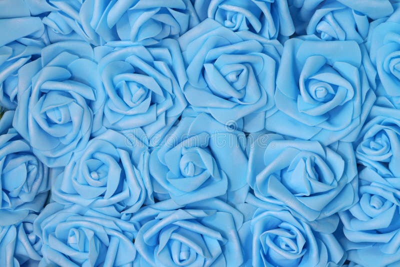 Light blue rose flowers. stock photo. Image of decor - 175486782