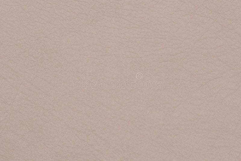 Light Brown Leather Texture Surface. Close-up of Natural Grain C Stock ...