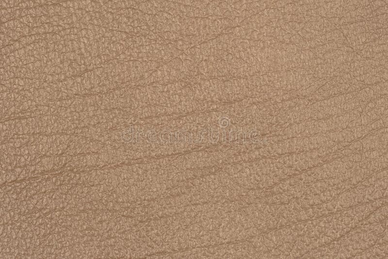 Light Brown Leather Texture Surface. Stock Photo - Image of natural ...