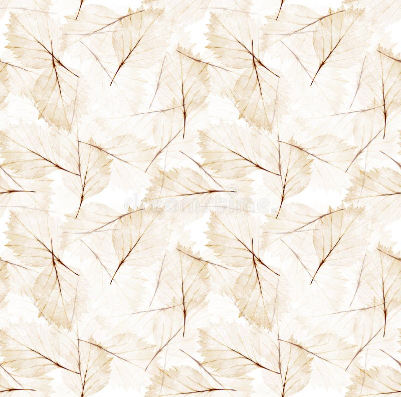Light Brown Leaves Seamless Background Stock Image Image of macro