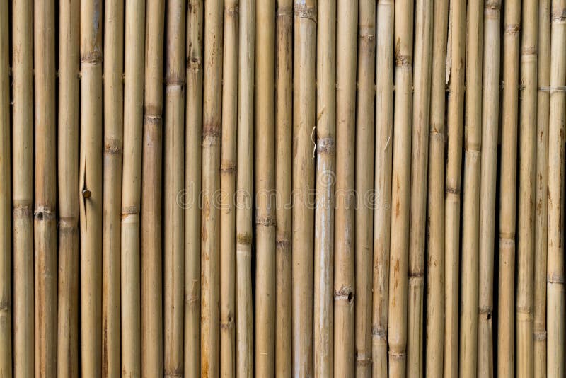 Light Brown Stick Background Stock Image - Image of earth, background