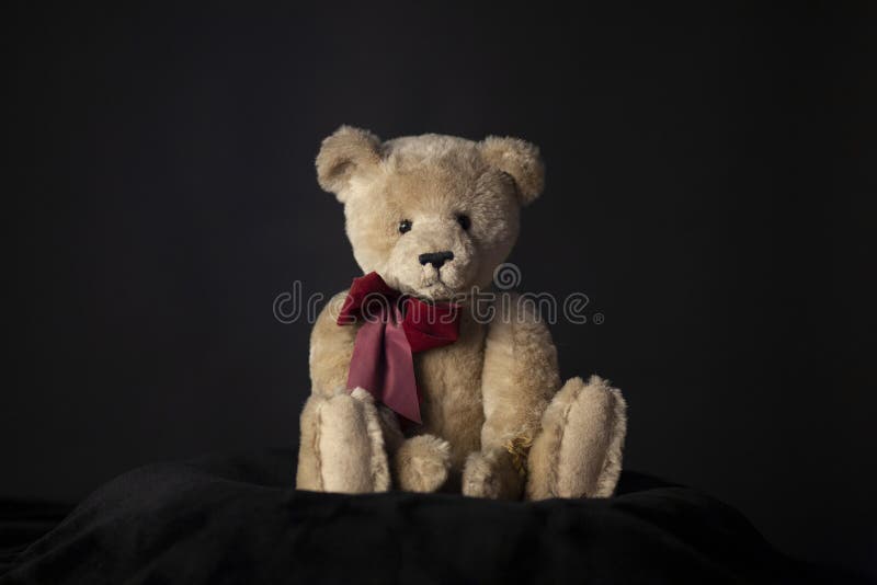 Light Brown Teddy Bear on Black Background Stock Photo Image of