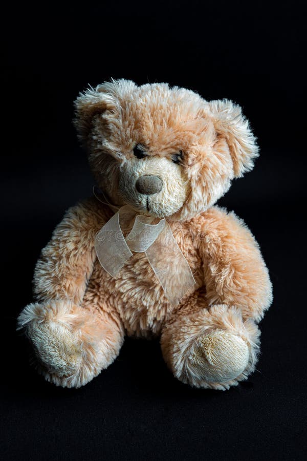 Light Brown Teddy Bear is Sitting Stock Image Image of gift, happy