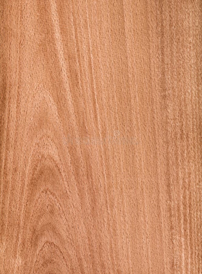 Light Brown Wood Background Stock Photo Image of natural, macro 35605646