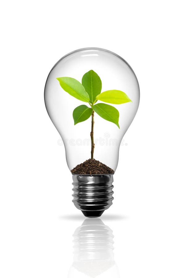 Light Bulb royalty free stock photo