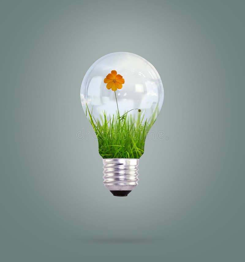 Light bulb with beautiful flower inside