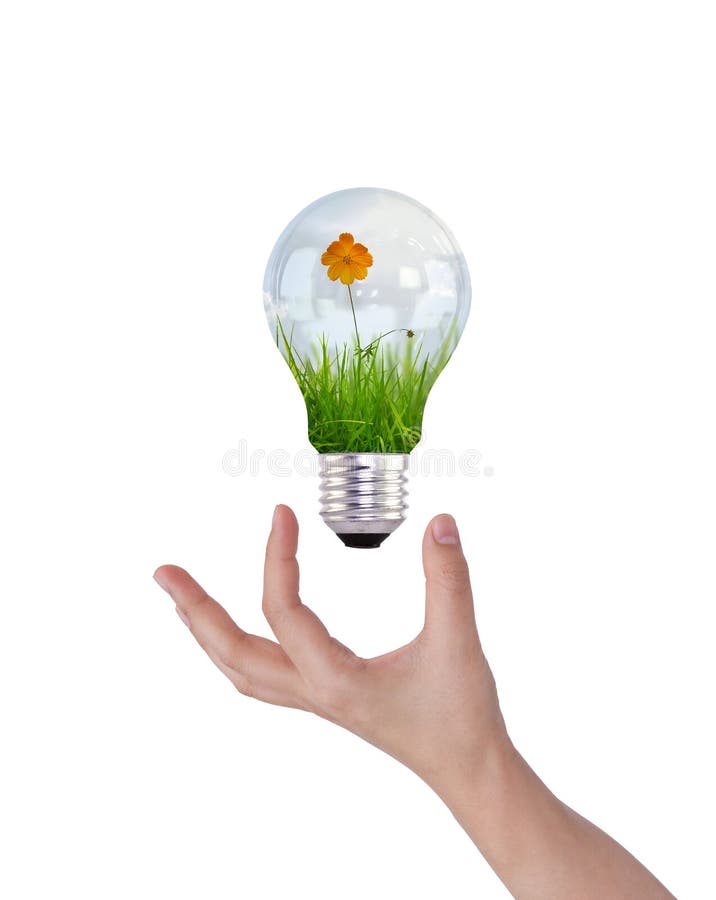 Light bulb with beautiful flower inside