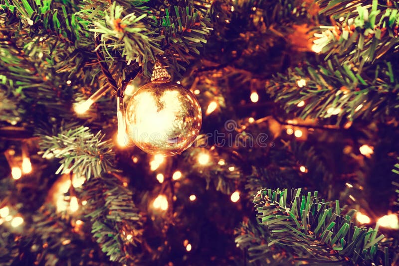 Light Bulb on Christmas Tree Stock Photo Image of year, season 131870334