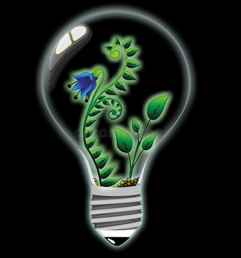 Light Bulb With Plants And Flowers Stock Vector Illustration of