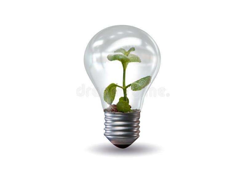 The Light Bulb in Green Environment Concept 3d Rendering Stock