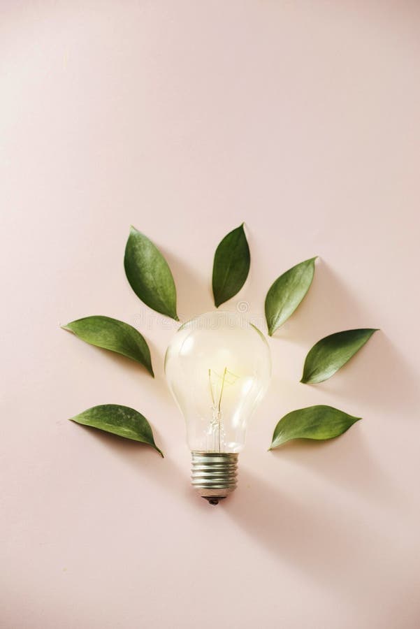Light Bulb With Green Leaves Stock Image Image of technology, spring 150567471