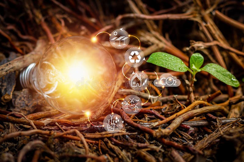 Light Bulb on the Ground Arid Earth and Energy Saving Concept. Stock