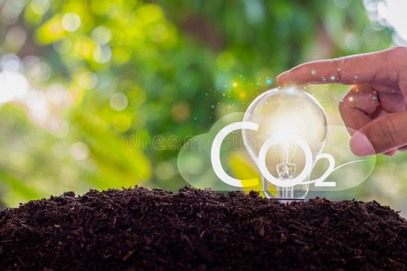 Light Bulb on Ground. Earth and Energy Saving Concept,hand Touching