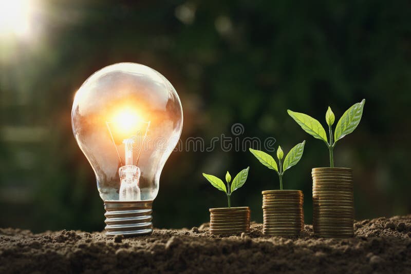Light bulb on soil with young plant growing on money stack. saving royalty free stock image