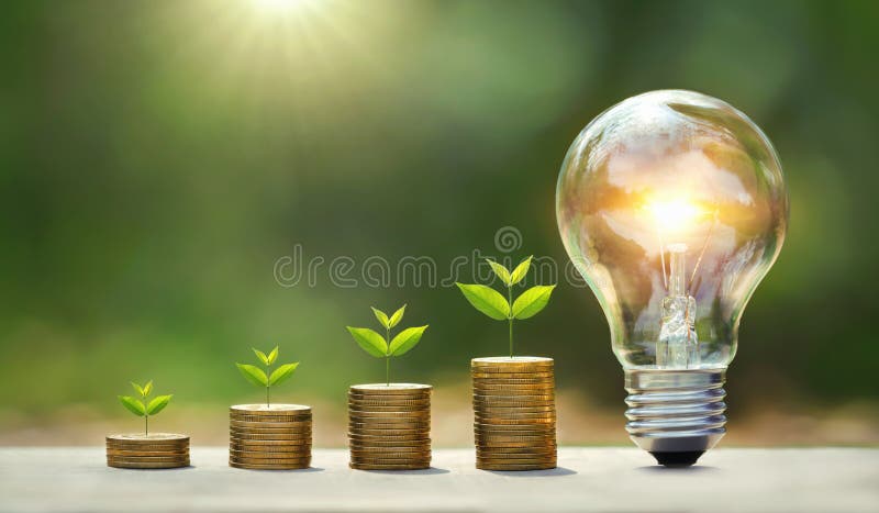 Light bulb on wood with young plant growing on coins stack. saving power energy and save money royalty free stock photography