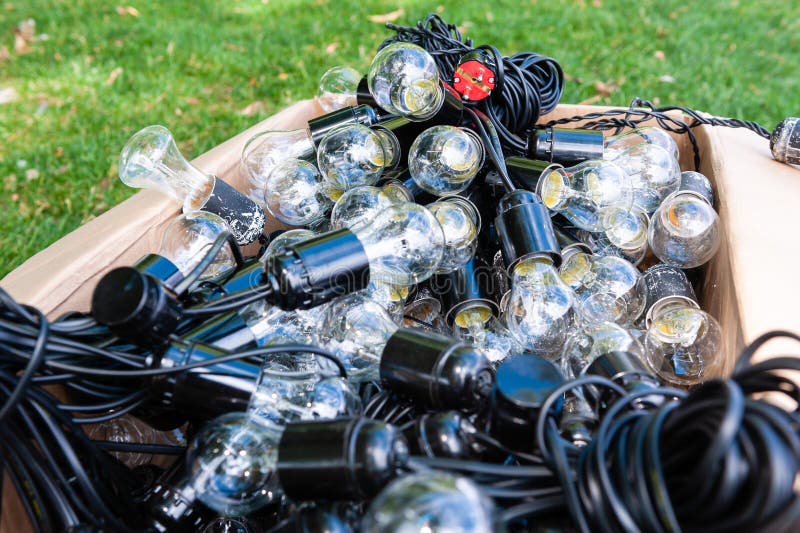 Light Bulbs and Cables at Carton Box Stock Photo Image of grass