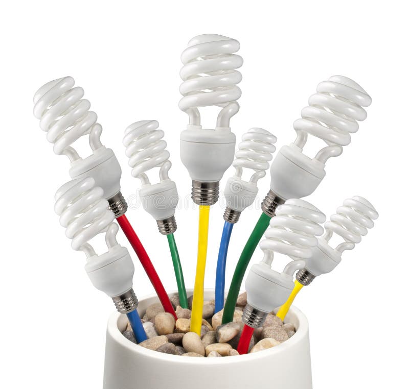 Light Bulbs with Colored Cables Growing in a Pot Stock Photo Image of