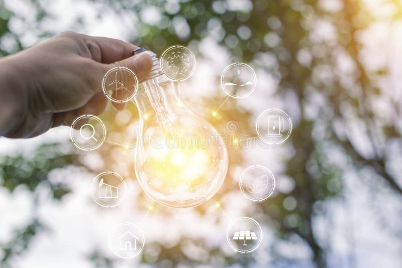 Light Bulbs that Grow, in the Concept of Energy in Nature. Stock Photo Image of tree, autumn