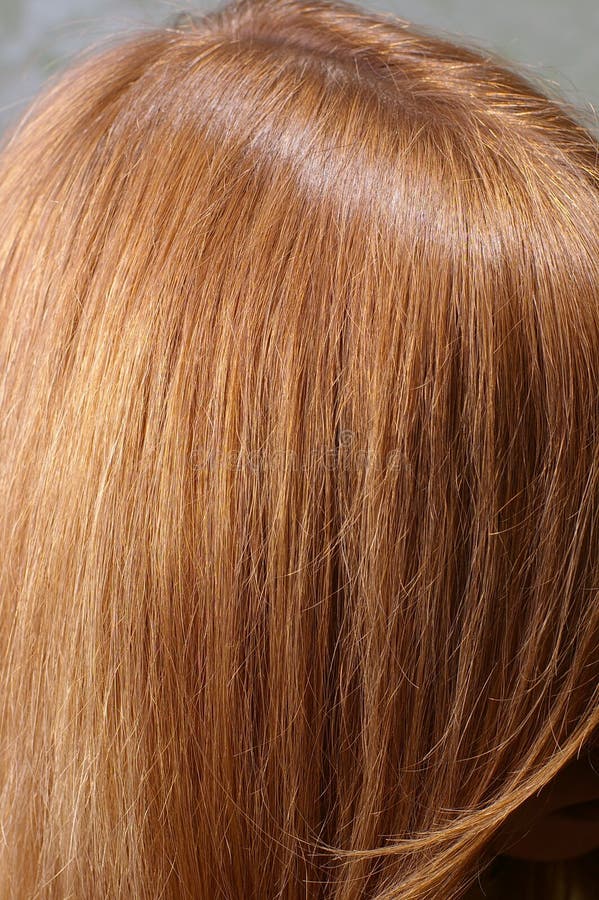 Light Chestnut Hair Parting Stock Photos - Free & Royalty-Free Stock Photos  from Dreamstime