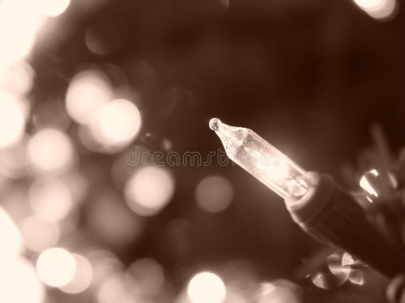 Light on Christmas Tree