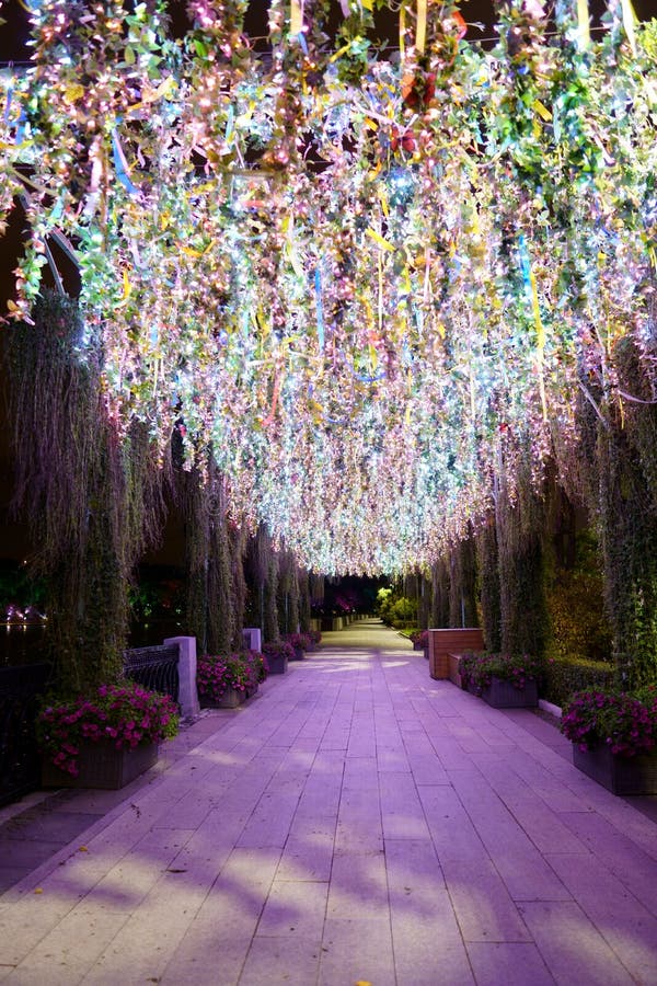 Light Decorations in Park. Photo Made by Late Evening Wedding ...