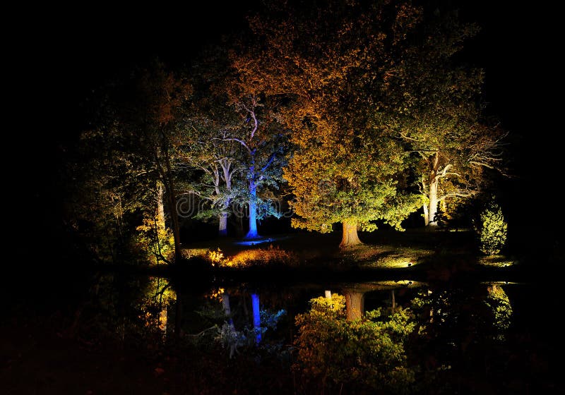 Light festival stock photo. Image of sweden, trees, reflections 23638198