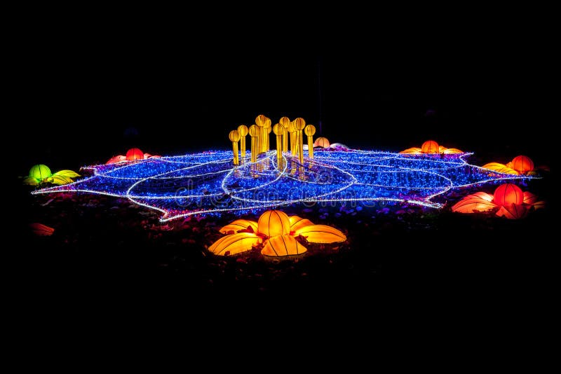 Light Festival of these Flower Editorial Photo Image of cityscape