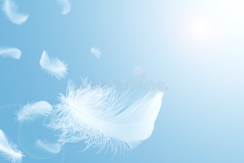 17 837 Floating Feather Photos Free Royalty Free Stock Photos From Dreamstime