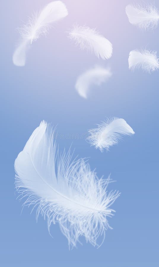Light Fluffy White Feathers Floating in the Dark. Feather Abstract  Background Stock Image - Image of group, bird: 183166005