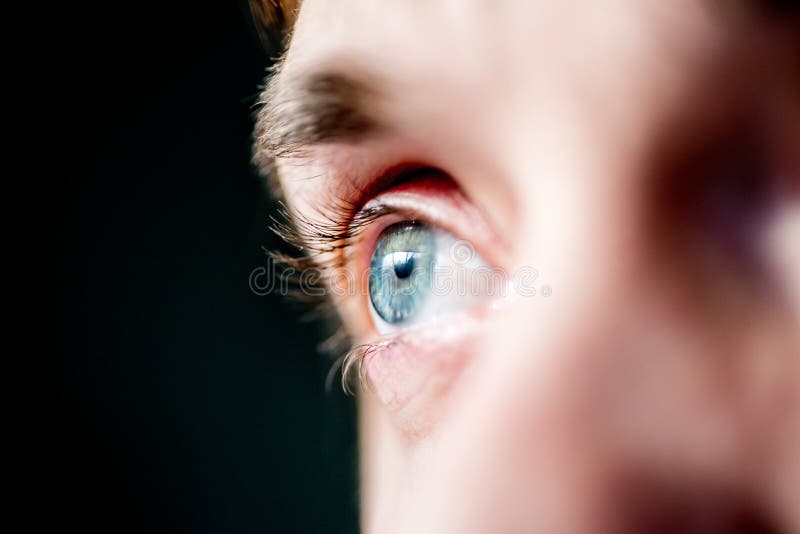 Light Grayblue Eye Looks Up. Stock Photo Image of eyelashes, light