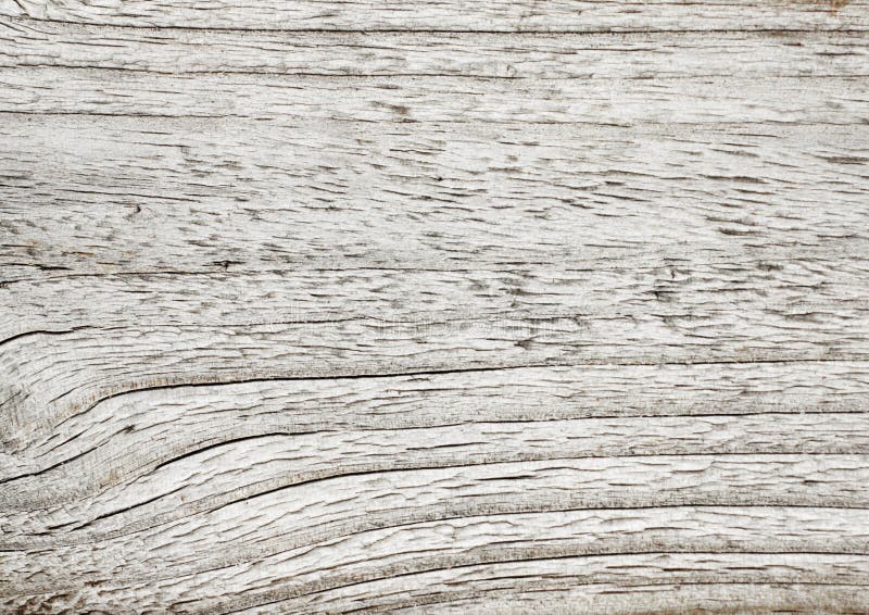 Light Gray Wood Texture As Background Stock Image Image of vintage