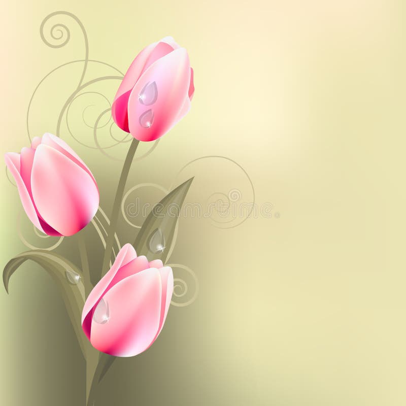 Light green background with tulips