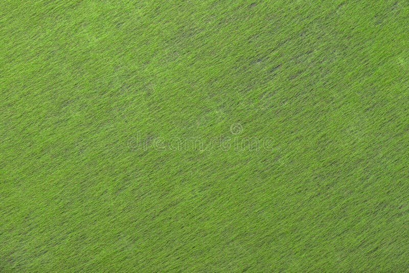 Light Green Matt Suede Fabric Closeup Velvet Texture Of Felt Stock Photo -  Download Image Now - iStock