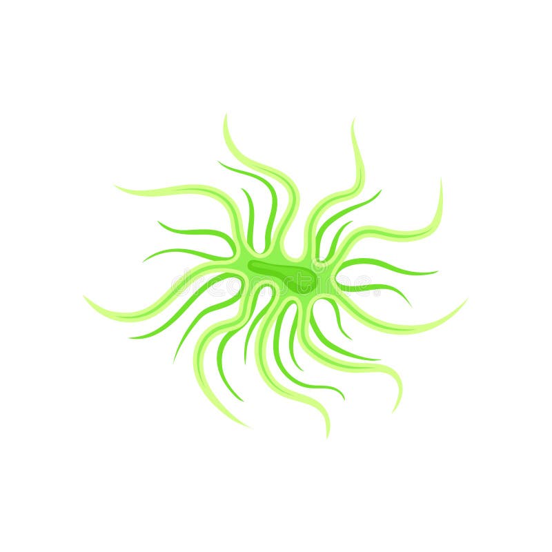 Featured image of post Real Plankton Clipart Plankton vector clipart and illustrations 550
