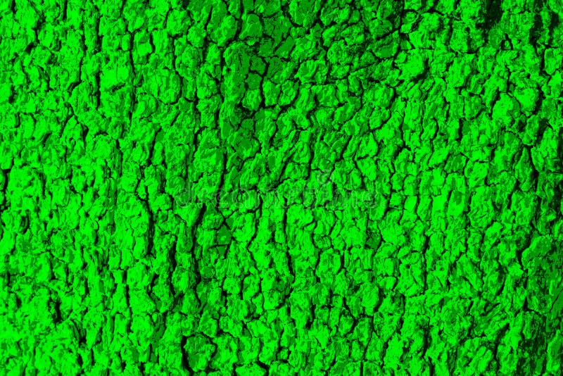 Light Green Tree Bark Texture for Wallpaper or Background Stock Photo
