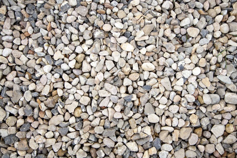 Gravel Flats And Massive Mountains In Alaska`s Denali National Park