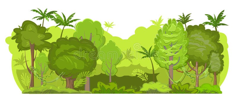 Light Jungle Background. Plants Rainforest. Isolated on White Background  Stock Vector - Illustration of landscape, foliage: 234715796
