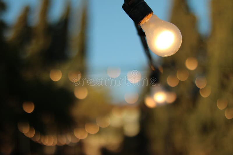 Light, Lighting, Close Up, Sunlight Picture. Image 106732475