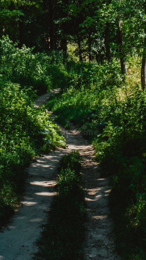 310 Growing Marijuana Leaf Kaleidoscope Stock Photos Free & Royalty