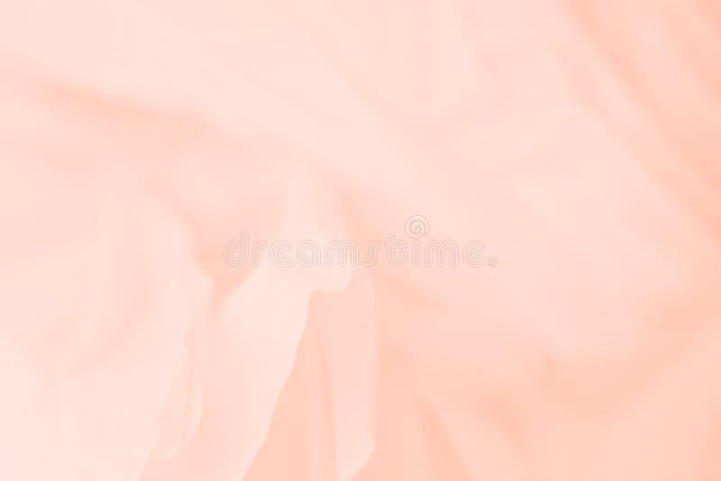 Light Orange Peach Color Abstract Background with Blurred Lines Stock Image  - Image of soft, flowing: 194065411