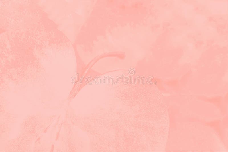 Light Pink Coral Color Background with Delicate Apple Pattern Stock  Illustration - Illustration of background, coral: 146760428