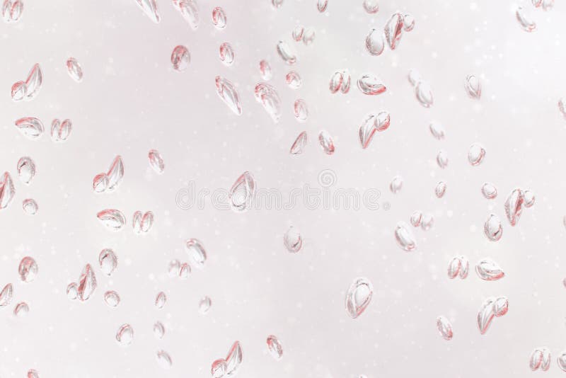 Light Pink Roses on Pastel Pink Mobile Phone Wallpaper Stock Photo Image of flora, arrangement