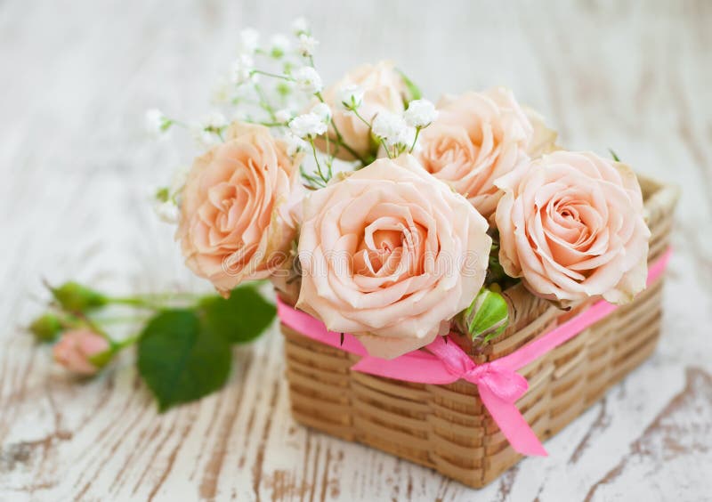 Light Pink roses