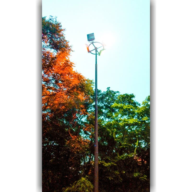 A light pole with multiple colour light