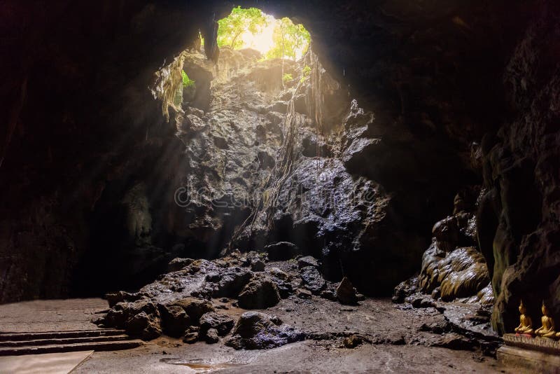 the cave and the light the cave and the light