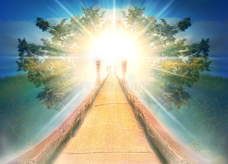 Light Rays and tree for background abstract believe for GOD  Stairs to heaven