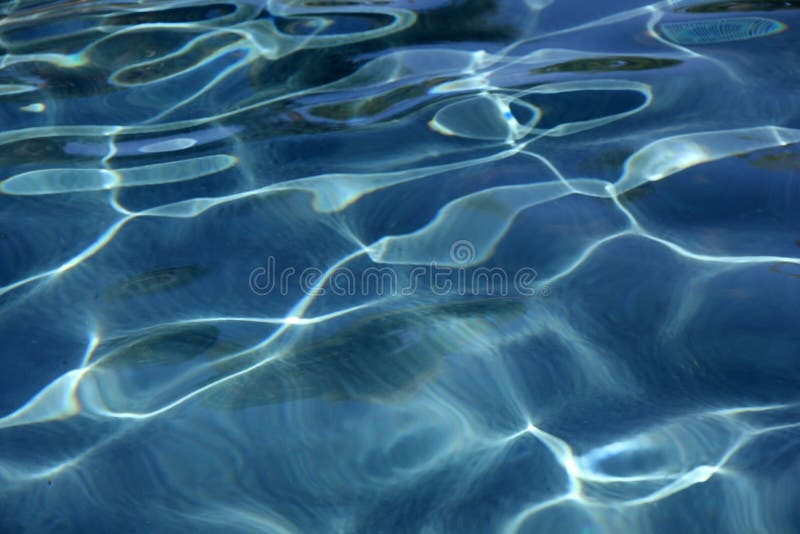 Light Ripple Reflection On Water In Swimming Pool Stock Image Image Of Veins Water Light Ripple Reflection On Water In Swimming Pool Stock Image Image Of Veins Water