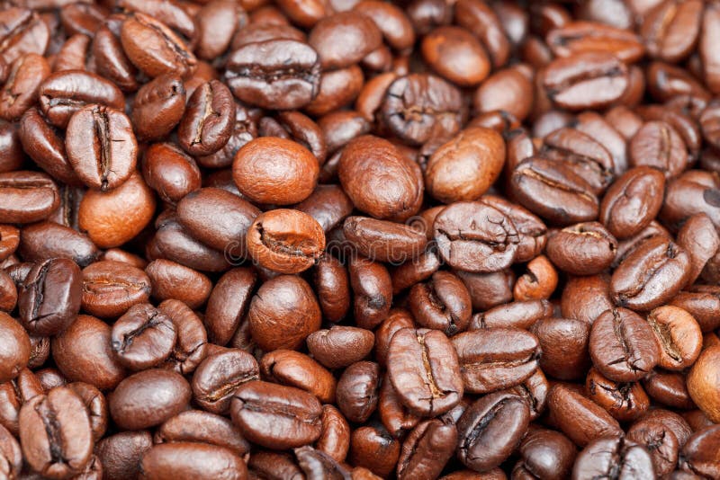 Light Roasted Coffee Beans Close Up Stock Photo Image of espresso